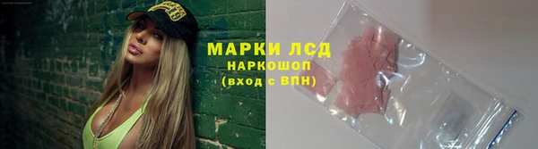 ПСИЛОЦИБИНОВЫЕ ГРИБЫ Абаза